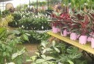 Bellbrookplant-nursery-7.jpg; ?>